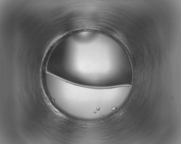 X0000056030987200508190947