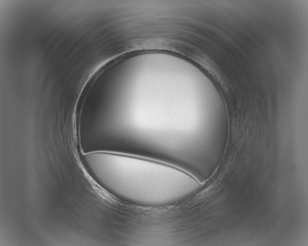 X0000056030988200508190947