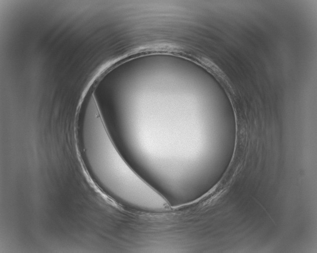 X0000056030989200508190947