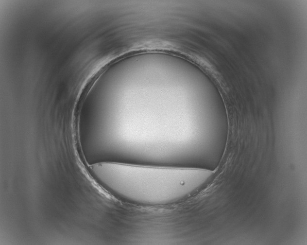 X0000056030990200508190947