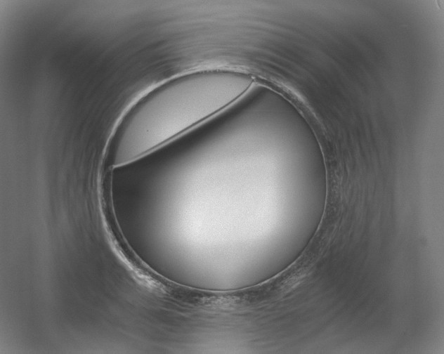 X0000056030991200508190947