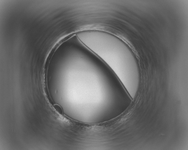 X0000056030992200508190947