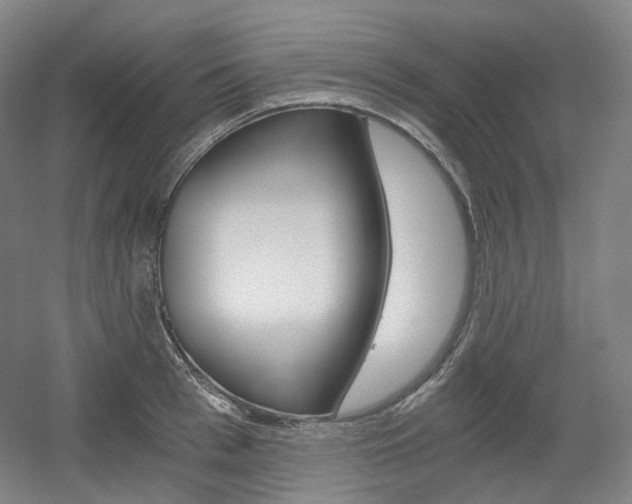X0000056030993200508190947