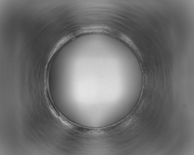 X0000056030994200508190947