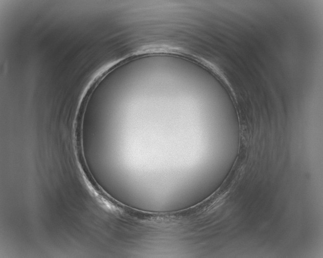 X0000056030995200508190947