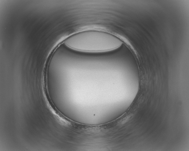 X0000056030999200508190947
