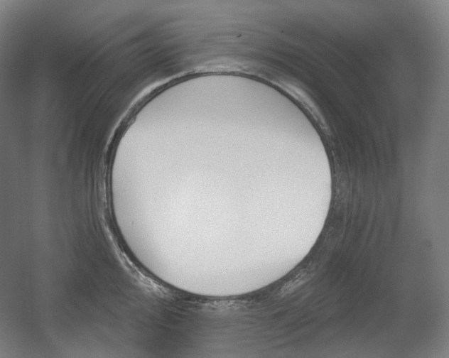 X0000056031000200508190947