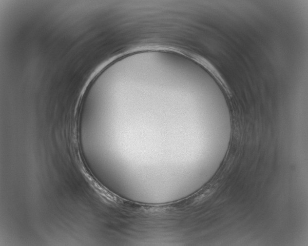 X0000056031004200508190947