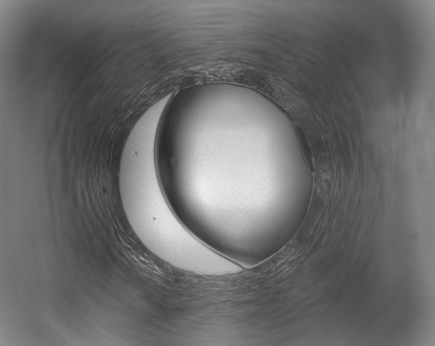 X0000056031010200508190946