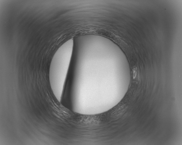 X0000056031011200508190946