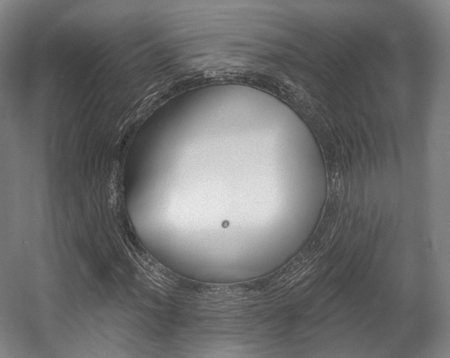 X0000056031012200508190946