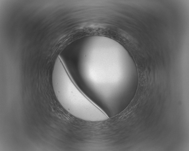 X0000056031013200508190946