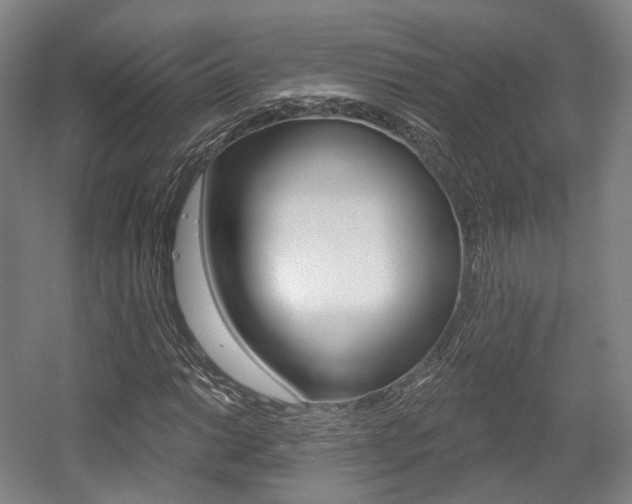 X0000056031014200508190946