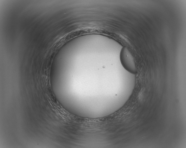 X0000056031015200508190946