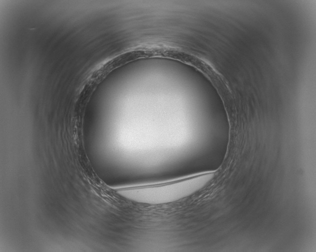 X0000056031016200508190946