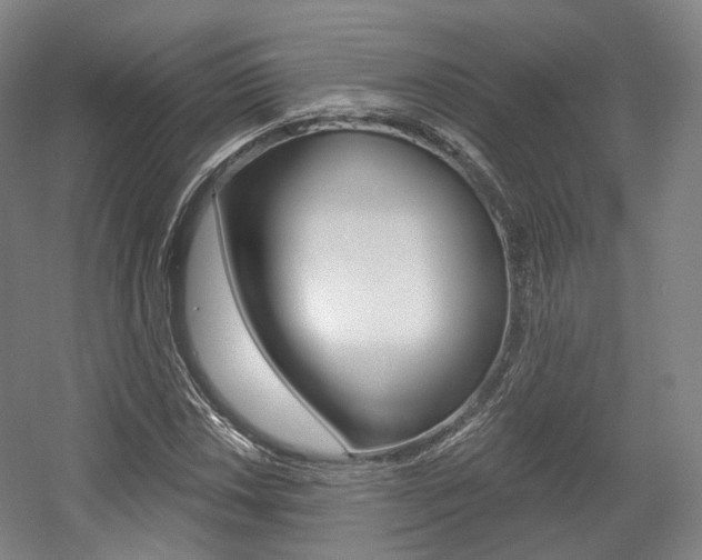 X0000056031018200508190946