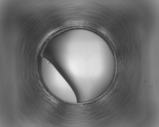 X0000056031019200508190946