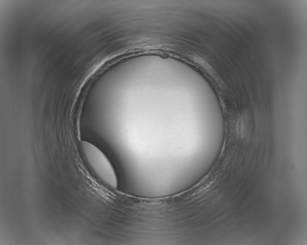 X0000056031023200508190947