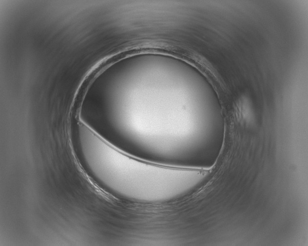 X0000056031024200508190947
