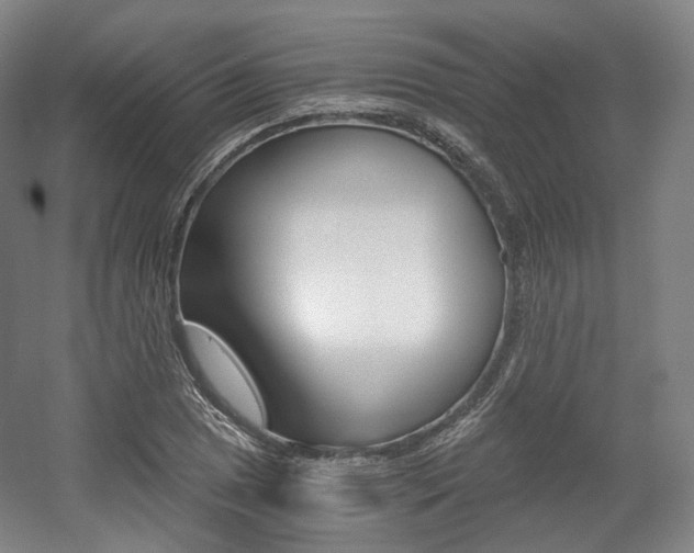 X0000056031025200508190947