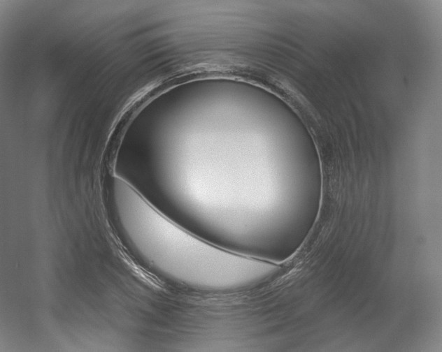 X0000056031026200508190947