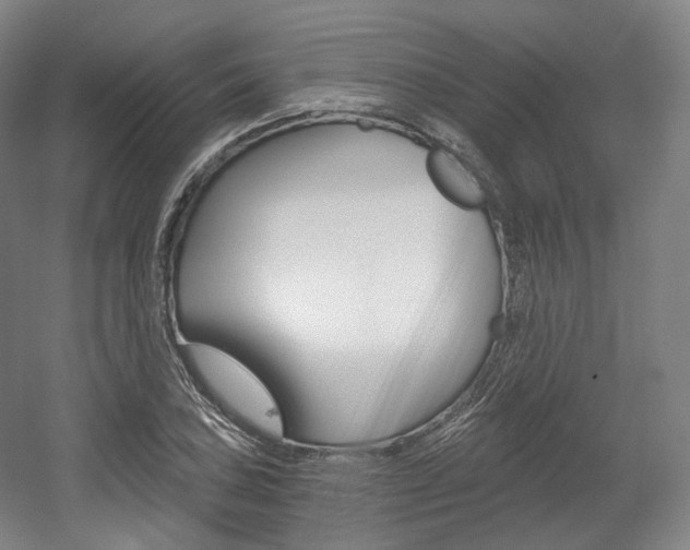 X0000056031027200508190947