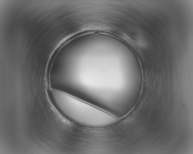 X0000056031028200508190947