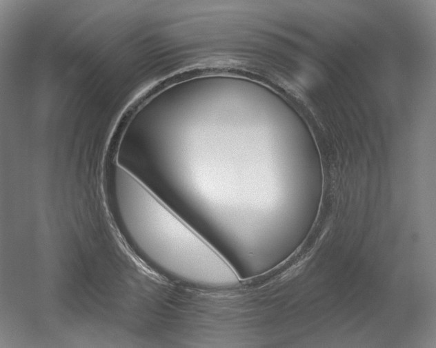 X0000056031029200508190947