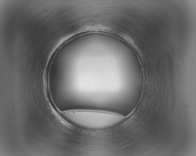 X0000056031032200508190947