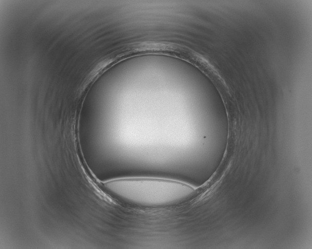 X0000056031033200508190947