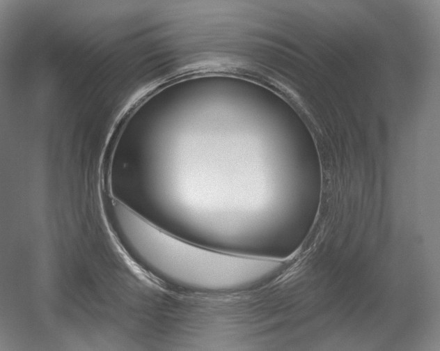 X0000056031034200508190947
