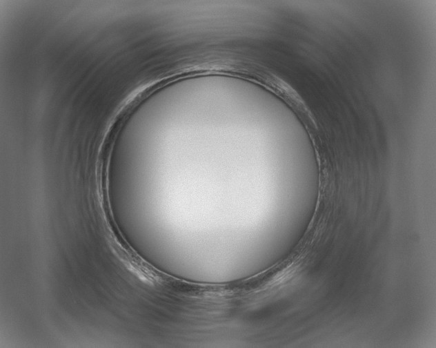 X0000056031035200508190947
