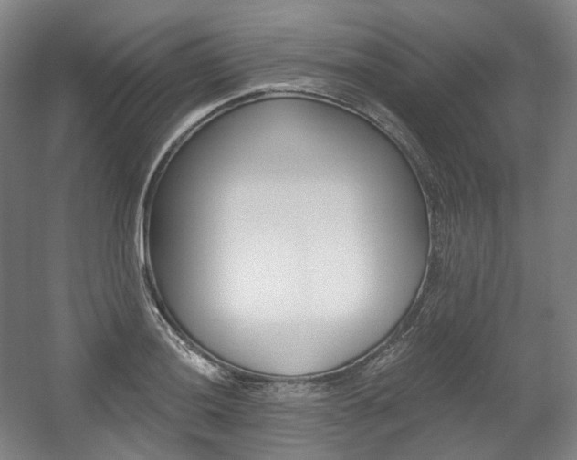 X0000056031036200508190947