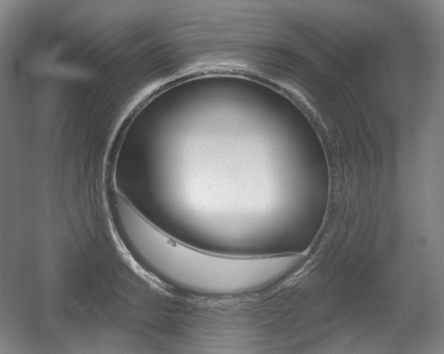 X0000056031038200508190947
