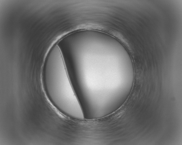 X0000056031040200508190947