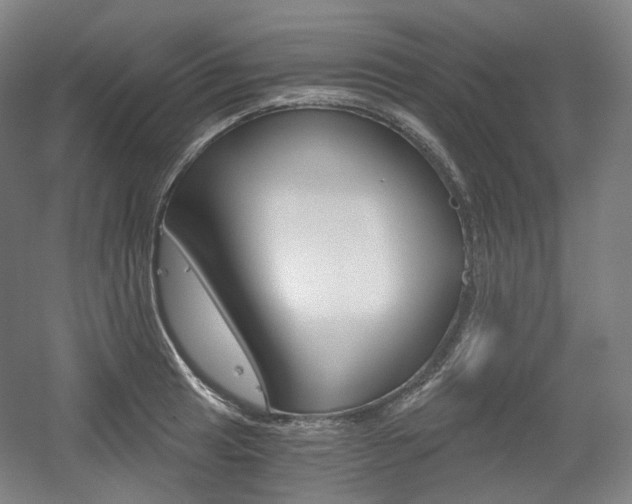 X0000056031041200508190947