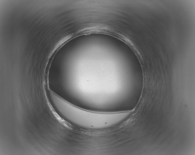 X0000056031042200508190947