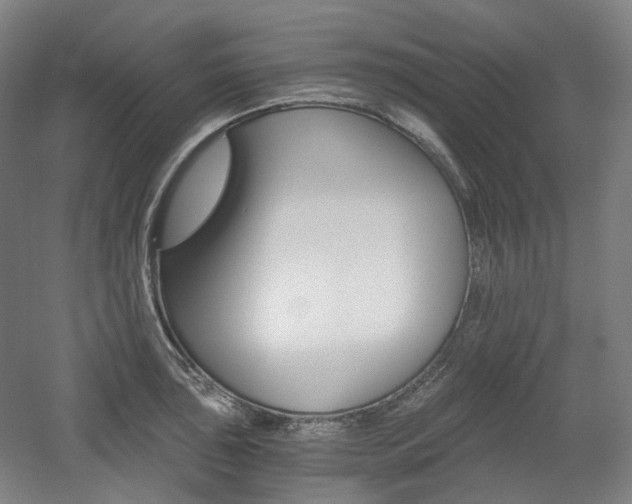 X0000056031043200508190947