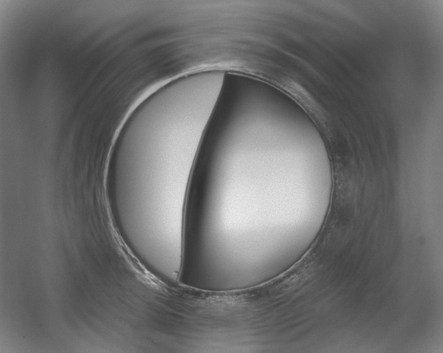 X0000056031044200508190947