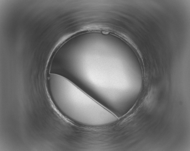 X0000056031045200508190947
