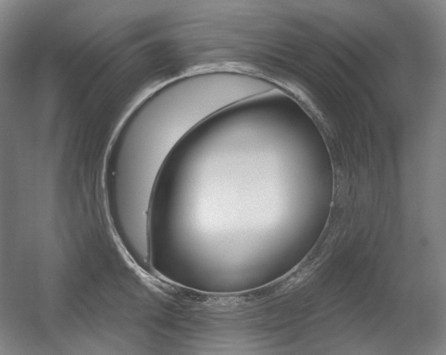 X0000056031046200508190947