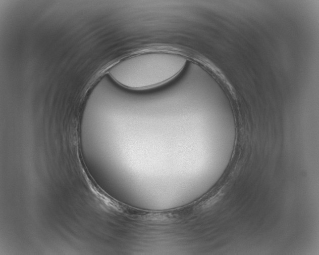 X0000056031049200508190947