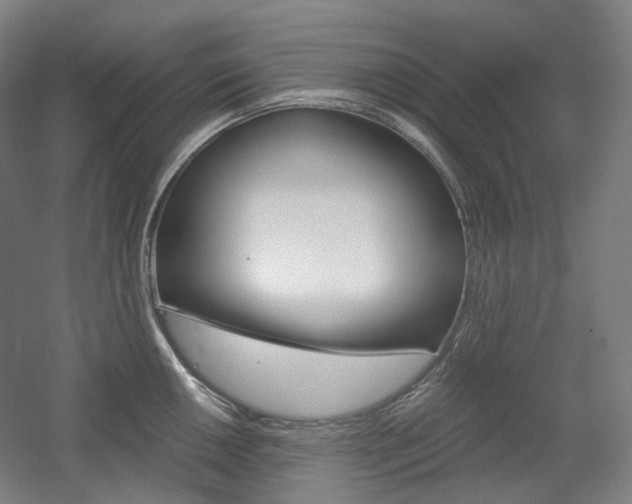 X0000056031050200508190947