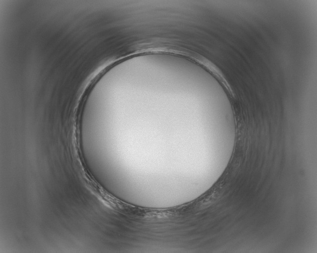 X0000056031051200508190947