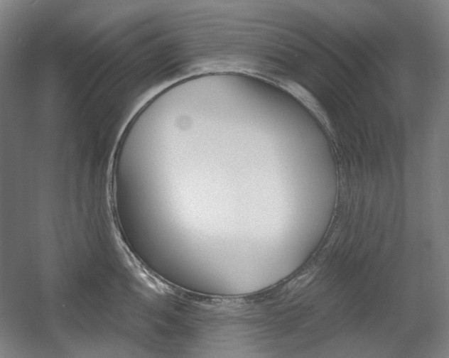 X0000056031052200508190947