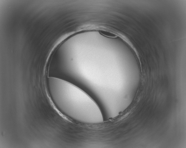 X0000056031053200508190947