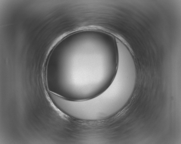 X0000056031054200508190947