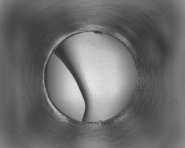 X0000056031055200508190947