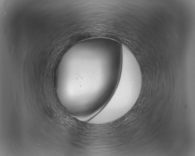 X0000056031057200508190946