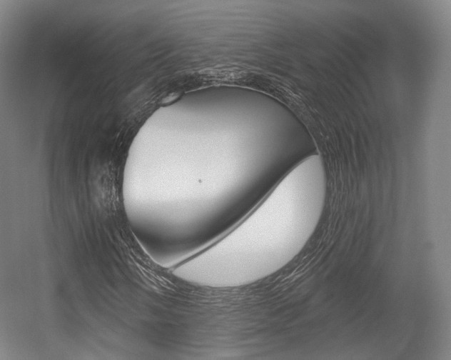 X0000056031058200508190946